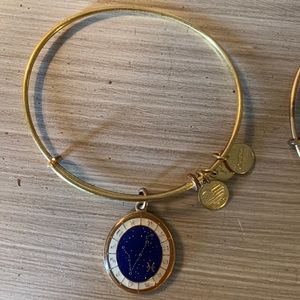 Alex and Ani Pisces bracelets